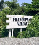 Frangipani Pet Friendly - Available 12 January 2026