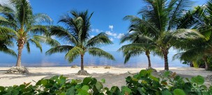 3bed--all Inclusive--pet Friendly--july 1--south Bay Estates