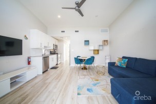 Downtown Reach - One Bedroom