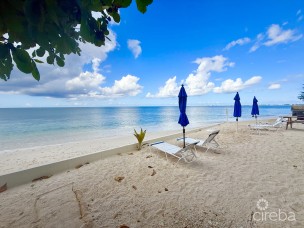 Seagull 1 Bed 1 Bath On Seven Mile Beach