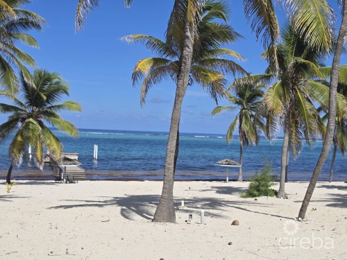 Cozy Beach Front Cottage