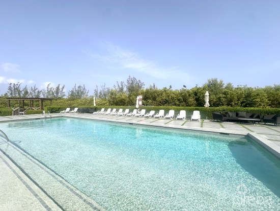 19 North 216, Renovated 1 Bed Condo