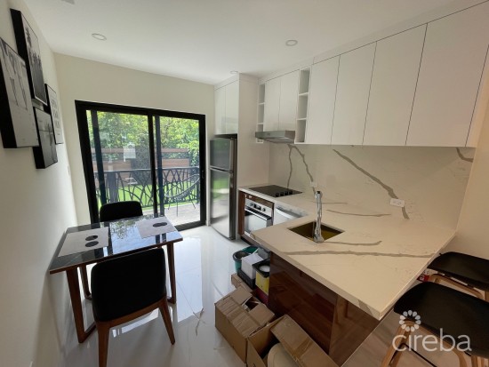 Brand New Arza 1 Bed End Unit (a1)