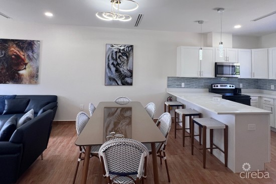 Brand New Condo In Raven Manor