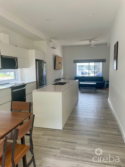 Brand New End Unit Duplex