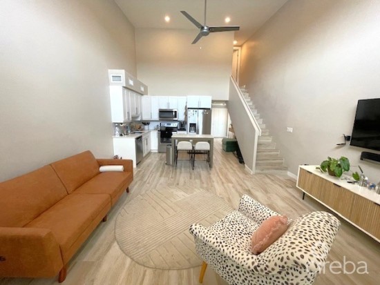 Downtown Reach  2 Bedrooms