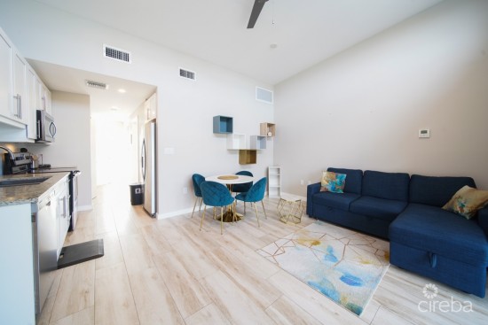 Downtown Reach - One Bedroom Unit # 306