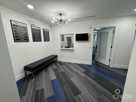 Genesis House  All-inclusive, Turnkey Office Suite Fully Furnished
