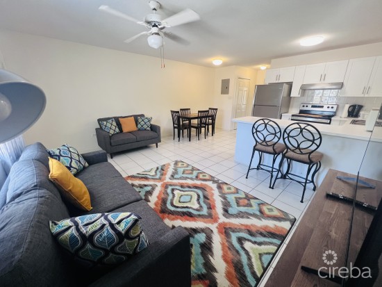 Immaculate Mount Pleasant One Bed