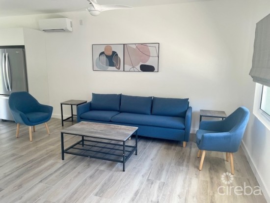 Modern End Unit 3 Bed Townhouse