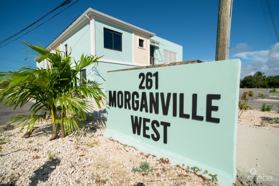 Morganville West Studio For Rent Available Immediately