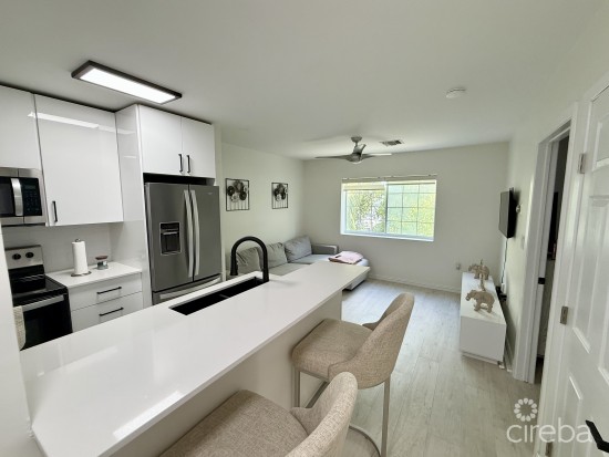Newly Renovated Lakeside Condo