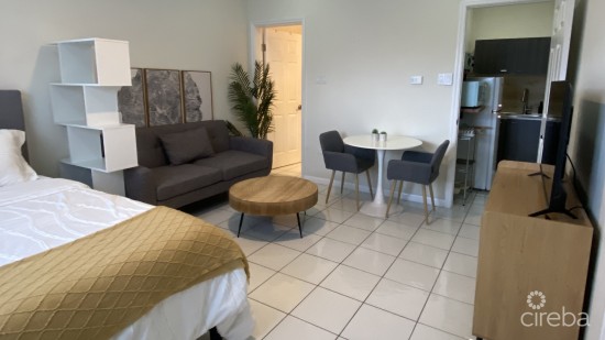 Private Efficiency 1 Bed Apt.  All Inclusive $1750