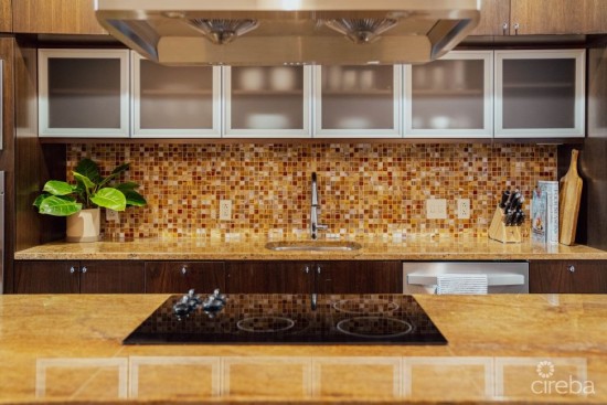 The Terraces Camana Bay N215 (two-bed)