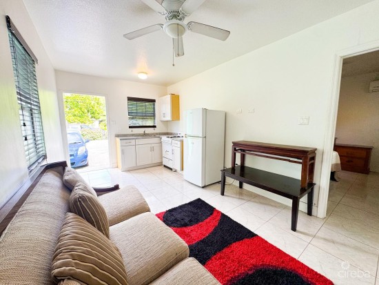 Yellow Stone Street 1 Bed 1 Bath Apartment